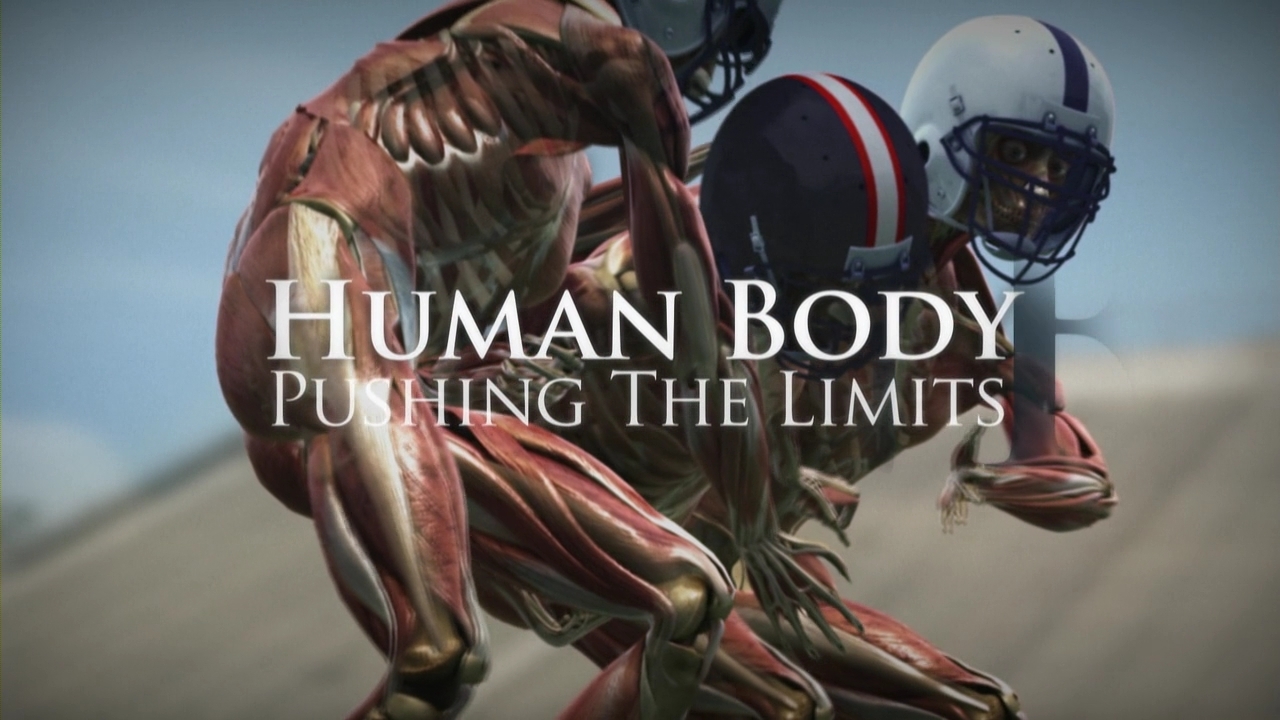 Human Body: Pushing the Limits