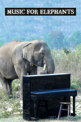 Music for Elephants