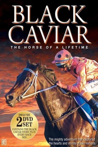 Black Caviar - The Horse of a Lifetime