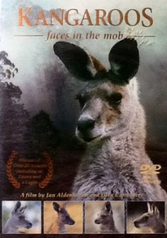 Kangaroos: Faces in the Mob