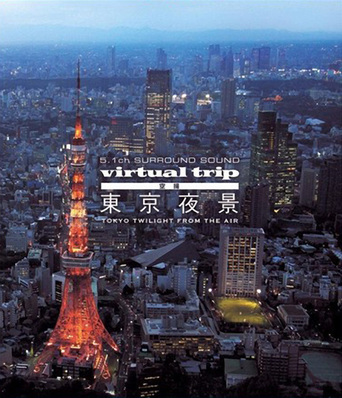 Virtual Trip: Tokyo Twilight from the Air
