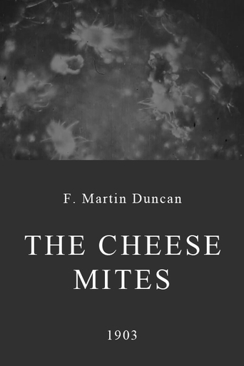 The Cheese Mites