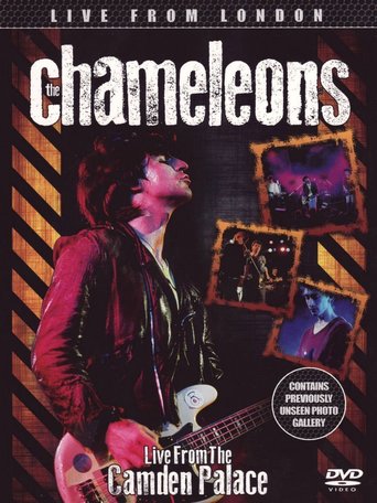 The Chameleons: Live at the Camden Palace