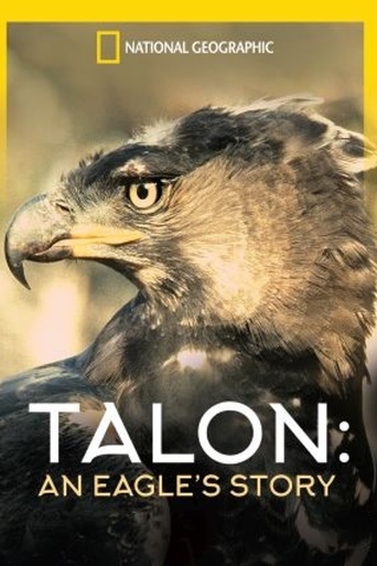 Talon: An Eagle’s Story