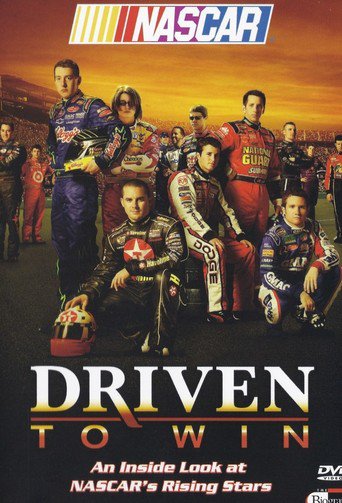 NASCAR: Driven To Win