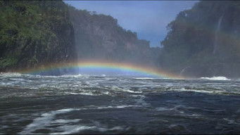 River Untamed