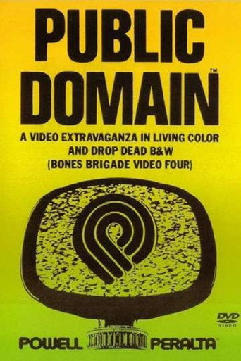 Public Domain: Bones Brigade Video IV