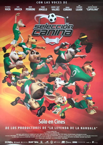 K-9 World Cup