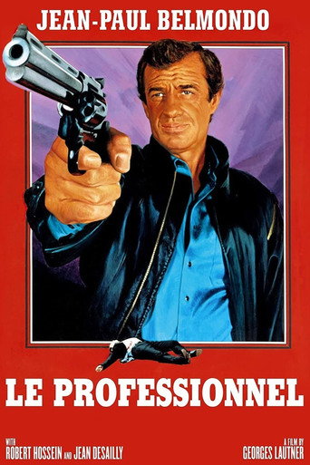 Le Professionnel