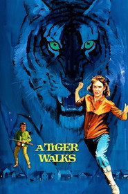 Um Tigre Caminha pela Noite