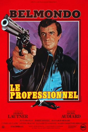 Le Professionnel