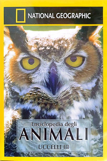 Watch Owls: Silent Hunters