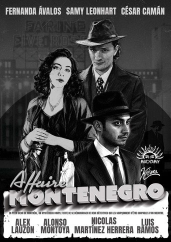 Affaire Montenegro