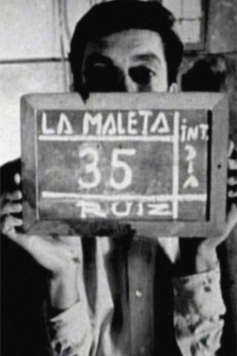 The Suitcase