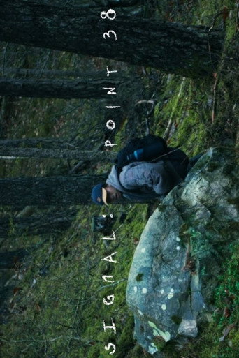 Signal point 38