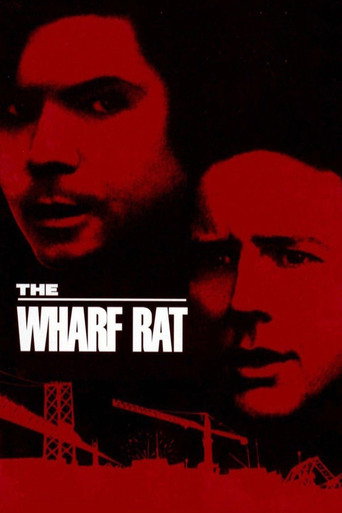 The Wharf Rat
