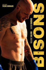 Bisons