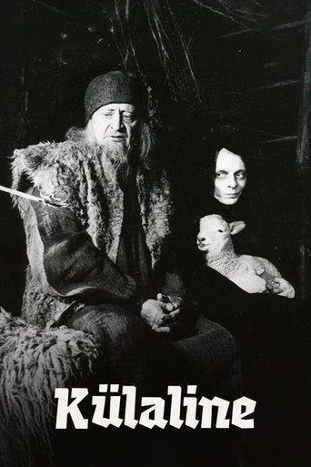 The Visitor
