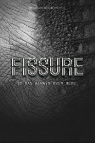 FISSURE