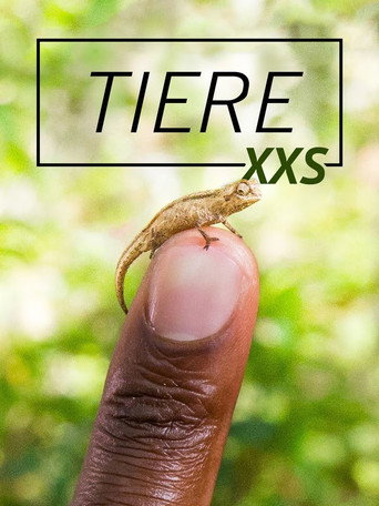 Animales súper pequeños