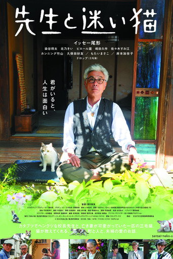 Teacher and Stray Cat