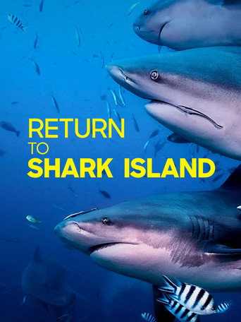 Return to Shark Island