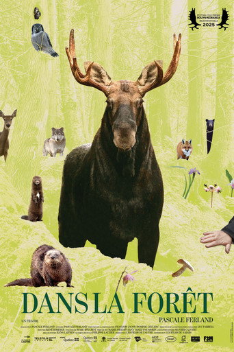 Dans la forêt