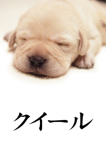 Quill: The Life of a Guide Dog