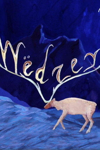 Midnight Migrations: Wëdzey Tąy (Caribou Trails)