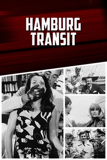 Hamburg Transit