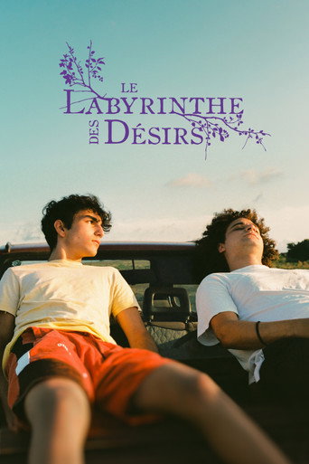 Labirinti