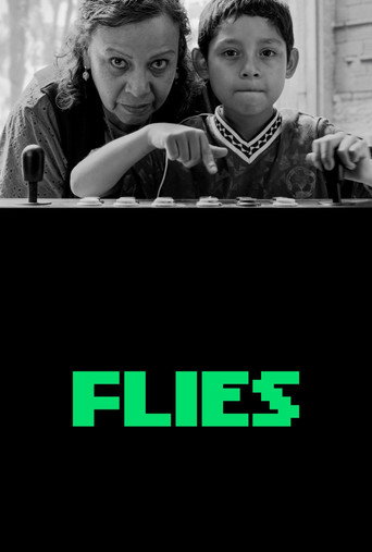 Flies