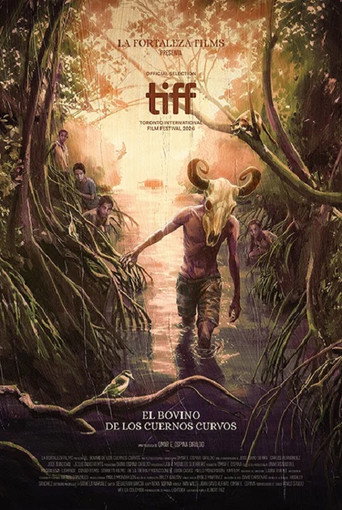 El bovino de los cuernos curvos