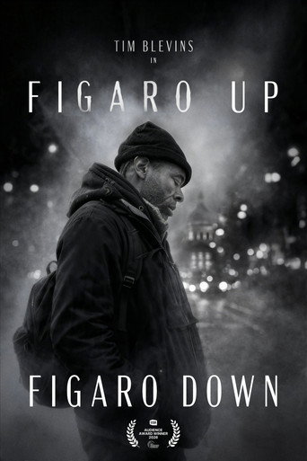Figaro Up, Figaro Down