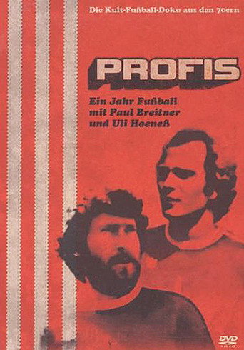 Profis