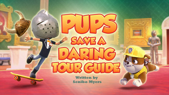 Pups Save a Daring Tour Guide