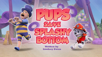 Pups Save a Splashy Bottom