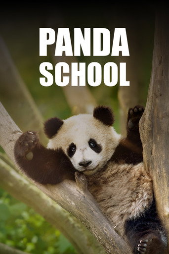 Escuela de pandas