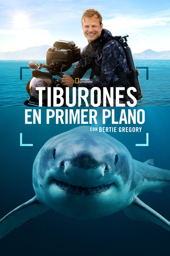Tiburones en Primer Plano con Bertie Gregory