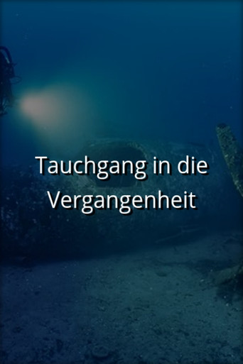Shipwrecks: When History Resurfaces