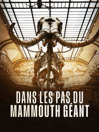 Dans les pas du mammouth géant