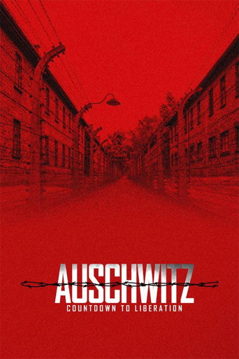 Auschwitz, cuenta atrás para la liberación