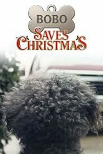 Bobo Saves Christmas