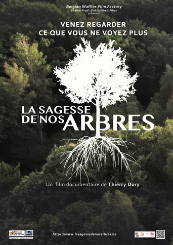 La sagesse de nos arbres