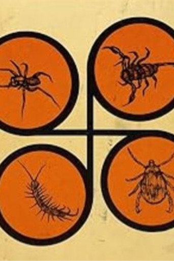 Spiders and Flies