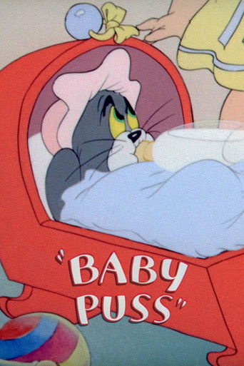 Gatito bebé
