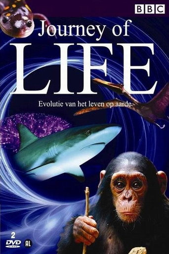 El viaje de la vida