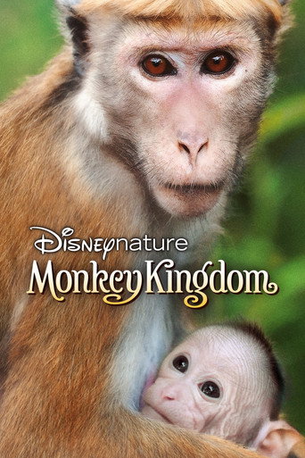 El reino de los monos