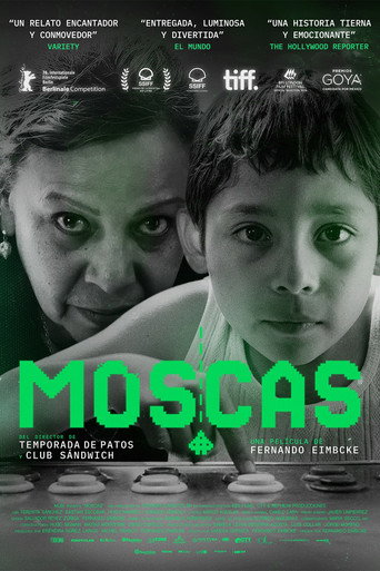 Moscas