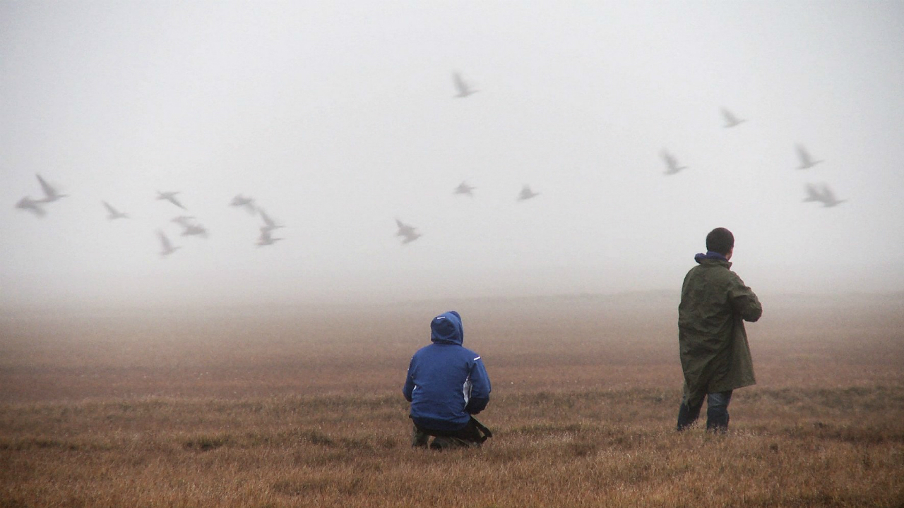 Children of the Arctic